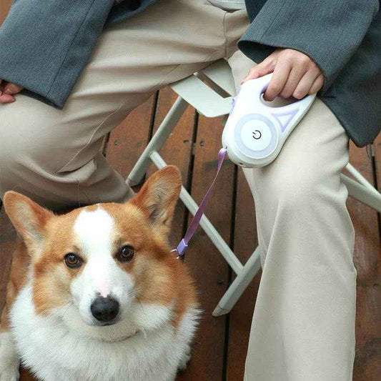 Intelligente Hundeleine mit beleuchtetem Hundehalsband – Automatische Einziehbare Leine für kleine und mittlere Hunde