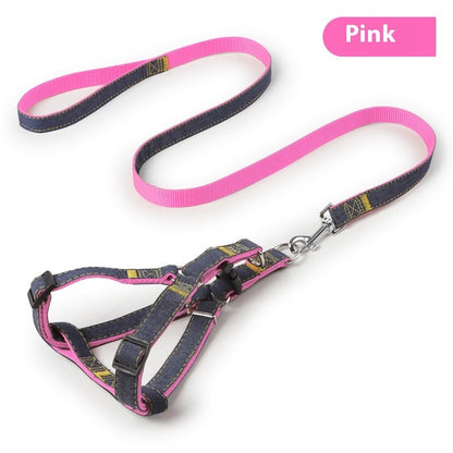 Pipitao Hundeleine Haustierbedarf - HIMMLICH.DEHundeleine Halsband Hund