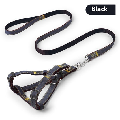 Pipitao Hundeleine Haustierbedarf - HIMMLICH.DEHundeleine Halsband Hund