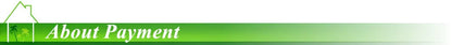 BBQ Grill Matte Wiederverwendbar Abwaschbar 40*33cm zum Grillen PTFE Matte kleine Bürste - HIMMLICH.DE