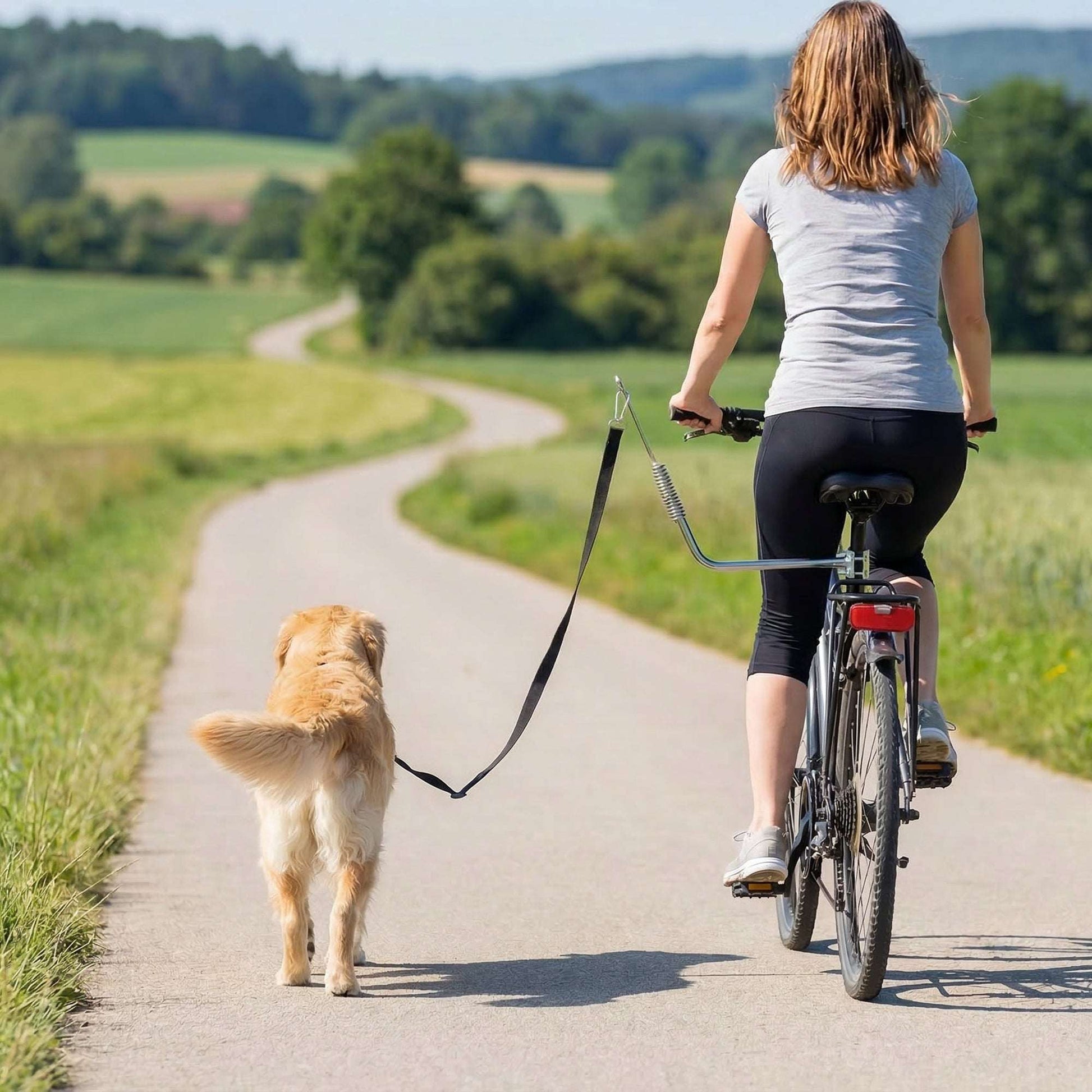 Fahrradleine für Hunde - HIMMLICH.DEhundeleine